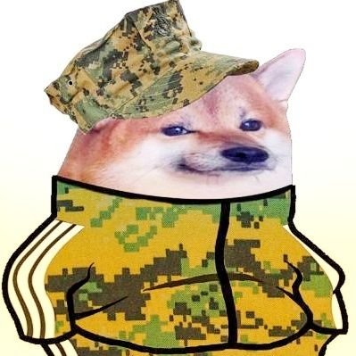 Pvt. Snarky Fella 🦩 ꏢ ї 🦉