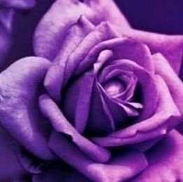 Rosie☮❤🧡💛💚💙💜