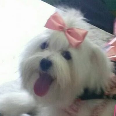 Ninna Juca and Bolota