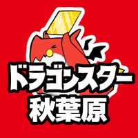 ドラゴンスター秋葉原店