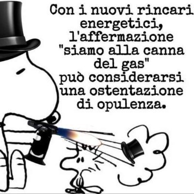 Bibi 4.0☮️🏳️‍🌈 🍉