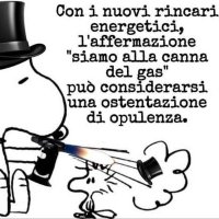 Bibi 4.0☮️🏳️‍🌈 🍉