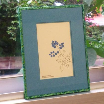 きょん🐧💫 ♨️