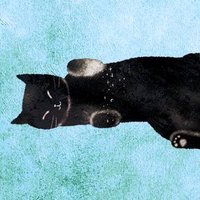 shiba🏴‍☠️🦏🦅🔥🌋