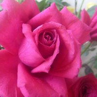 The Drexel Society Inc., Breaux Bridge Chapter