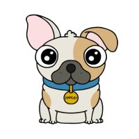 FinnleyTheFrenchie™