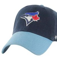 YVR BlueJays Fan 🇨🇦