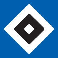 HSV Young Talents