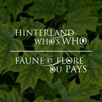 Hinterland Who's Who | Faune et flore du pays