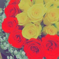 Doda Almasri(◕‿◕✿)