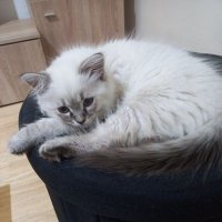 🇨🇿 Jitka 🇨🇿