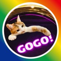 ぬこ@兵庫🐾大阪🐾