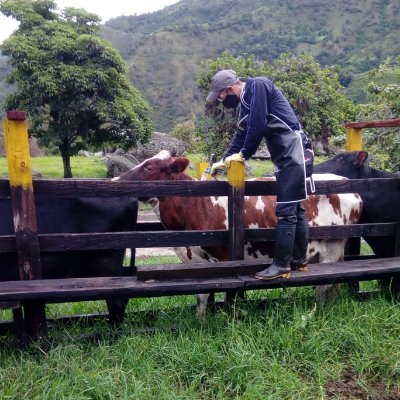 PL OCAÑA-PASION GANADERA