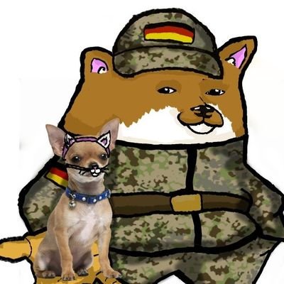 Catfella 📯 🇺🇦🤝🇩🇪🇨🇦