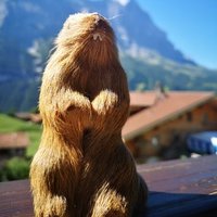 Der Psychiater Ihres Vertrauens