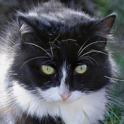 RISTUKO ROCK FESTIVAL