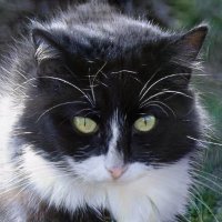 RISTUKO ROCK FESTIVAL