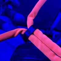 NON SIAMO TUTTI SCEMI !