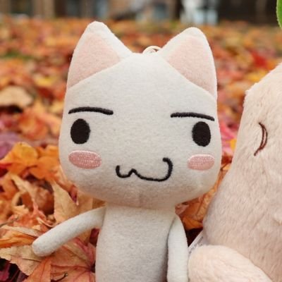 まつこ モユク 【公式】