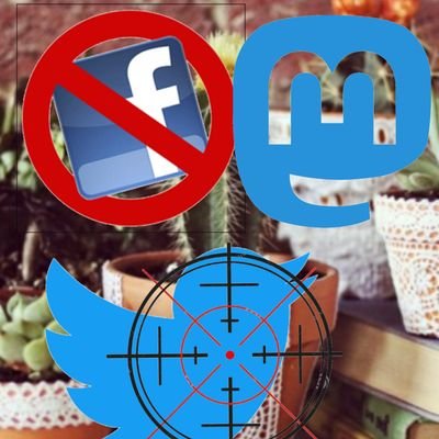 Prof. Dr. Dr. Blumenkübel