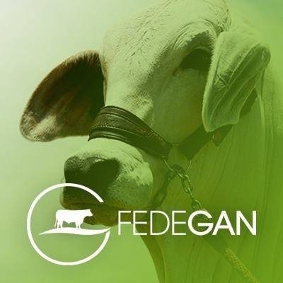 La Macarena Pasión Ganadera