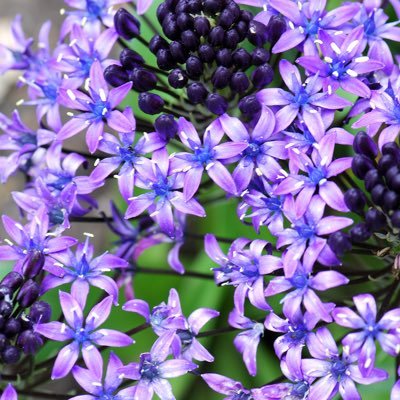 One day👣👁🕵🏻‍♀️