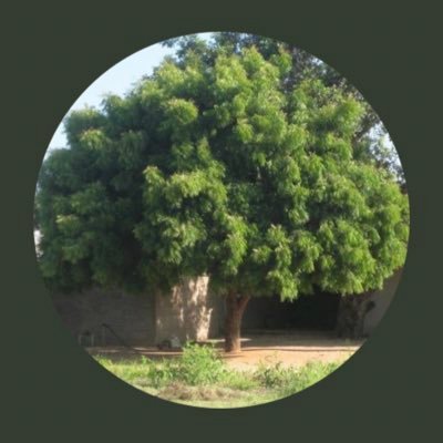 विजेंद्र Vijendra🇮🇳