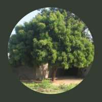 विजेंद्र Vijendra🇮🇳