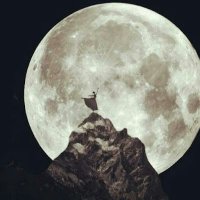 ⵊⴰⴷ jad biscolati