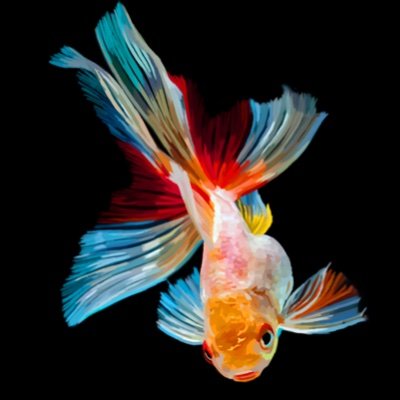 Colorful_Jin 写真とアートとスターウォーズが好き