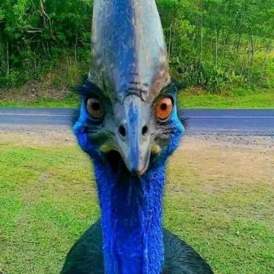 EmpireEm LockHimUp!!! ๐๐๐๐