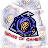 sᴇɴsᴇ ᴏғ ɢᴀᴍᴇʀ