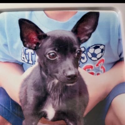 KB Wrestling 🔴 on YouTube!