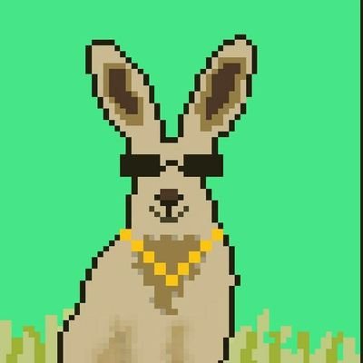 B - Negative.lens.plena(💙,🧡)(🌸, 🌿)🛡️🛸