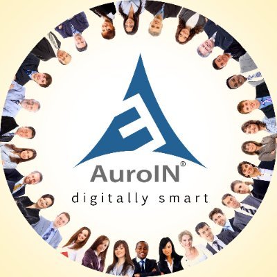 AuroIN LLC