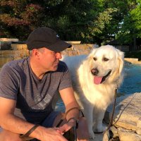 Chicago TESTla - ⚡️