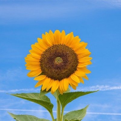 サッカーW杯情報相互フォロー