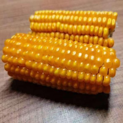 Origin Agritech Ltd.