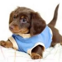 Claudia Hernández Beltrán