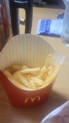 こうちゃとさくら