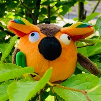 いのいの@隙あらば韓国へ行きたい