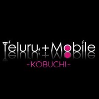 テルルイトーヨーカドー古淵店