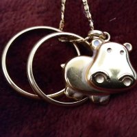 ダイエッ豚@推しに会いたい