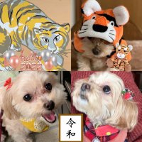 나나코 𝓃𝒶𝓃𝒶𝓀ℴ通知不具合