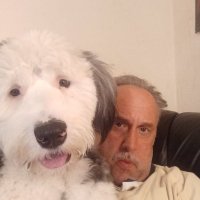 Lovable Liberal and his Old English sheepdog