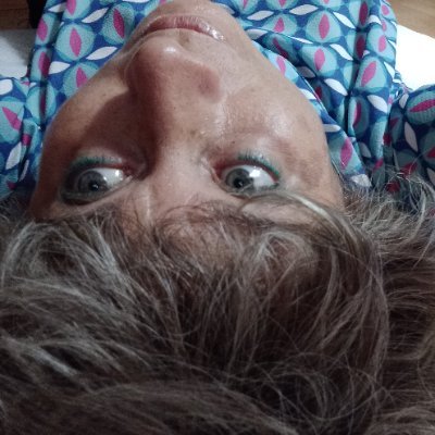 Maria Silvia Da Re (a c. di) Versi volant