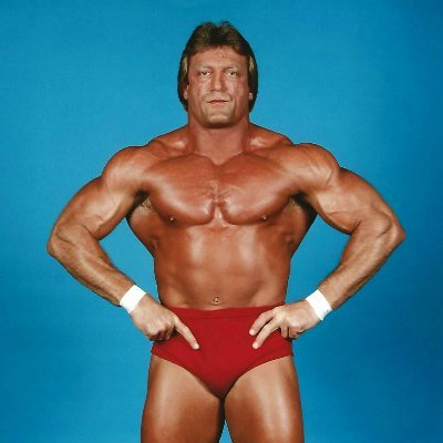 Paul Orndorff (Legacy)