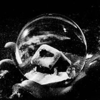 Le buzz d'il y a cinq jours