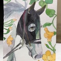 エプソムゆま🏇ダート愛が重馬場🏆🥇