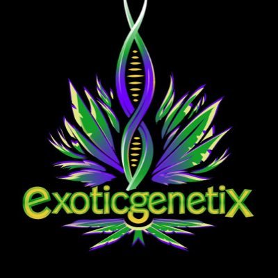 Exoticgenetix